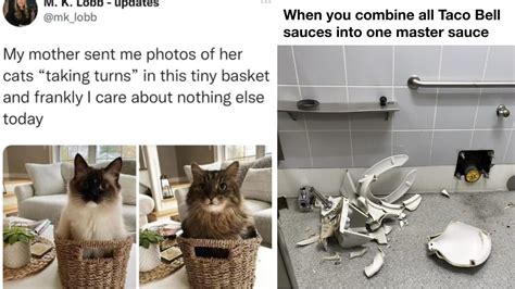funny plataporma memes|25 Completely Random Memes From The Depths Of Social Media.